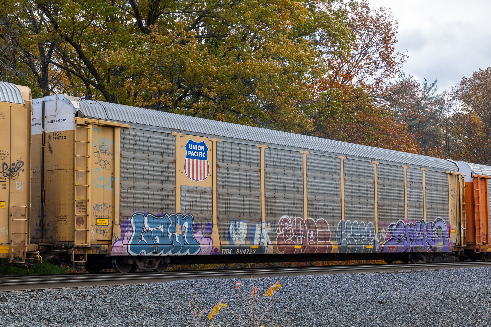 TTGX 994723