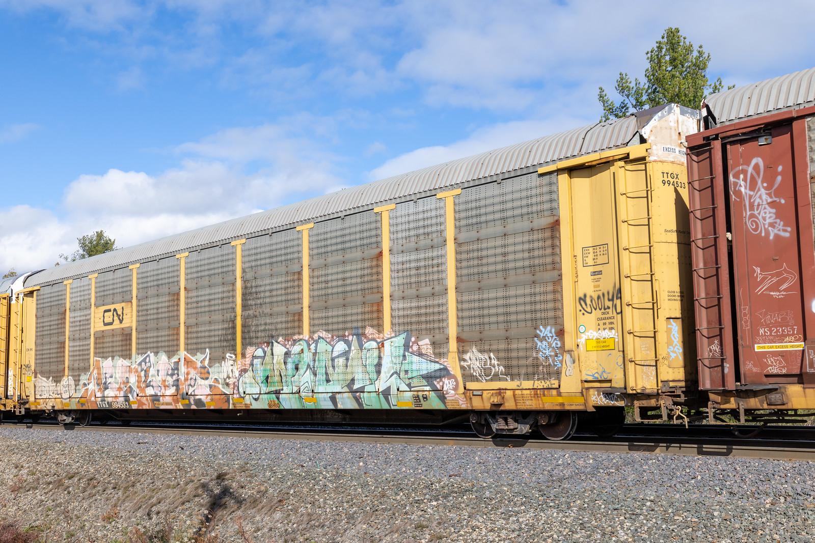 TTGX 994533