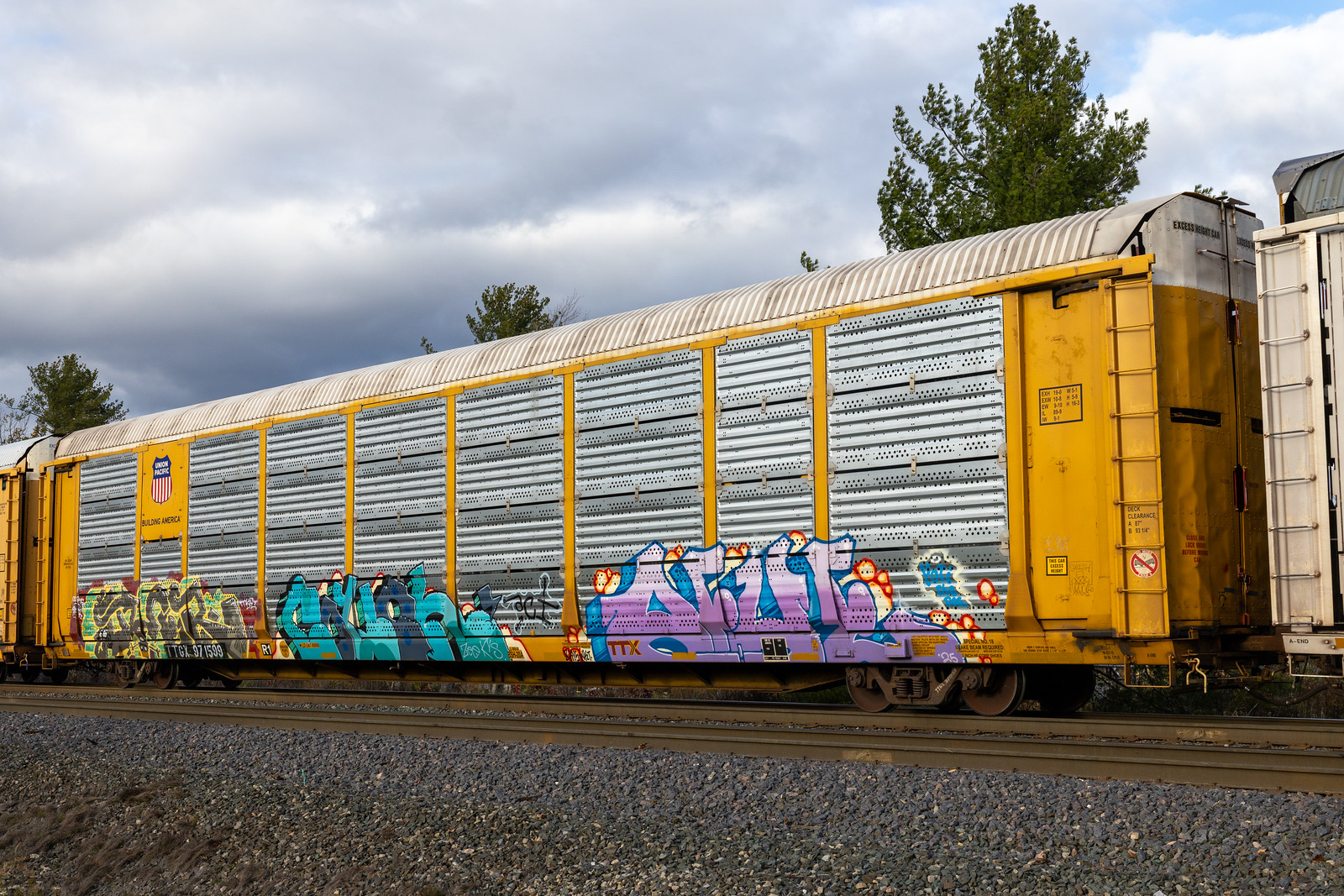 TTGX 971599