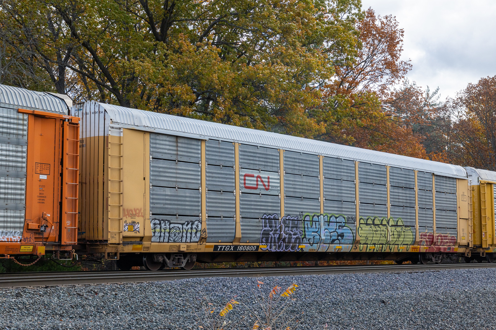 TTGX 160800