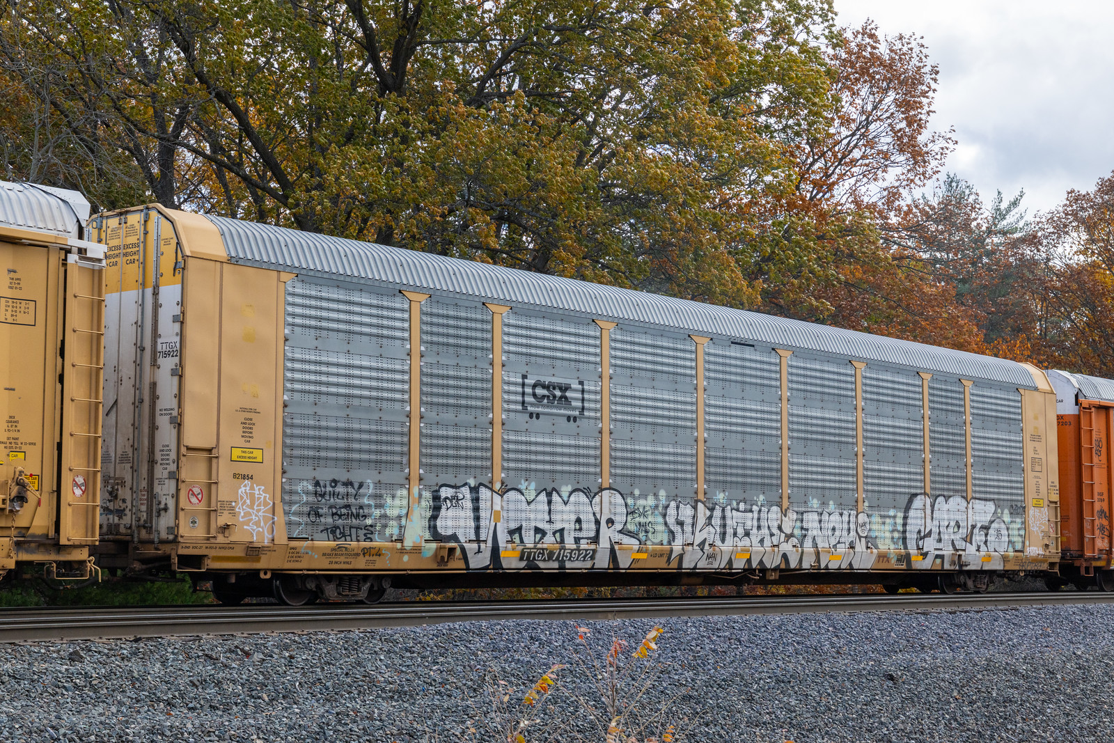 TTGX 715922