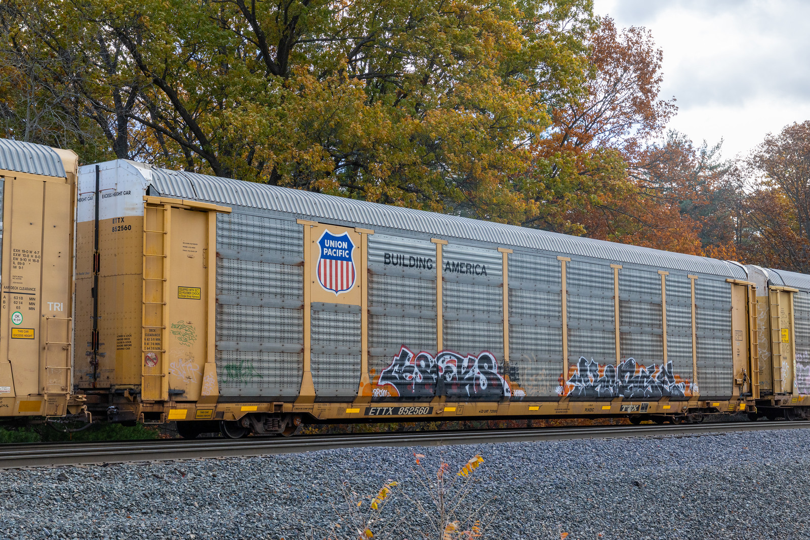 ETTX 852560