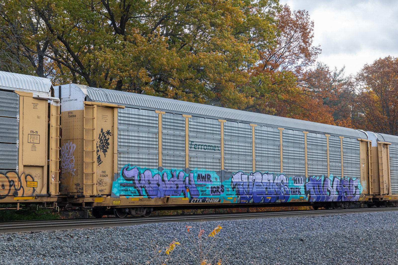 ETTX 704088