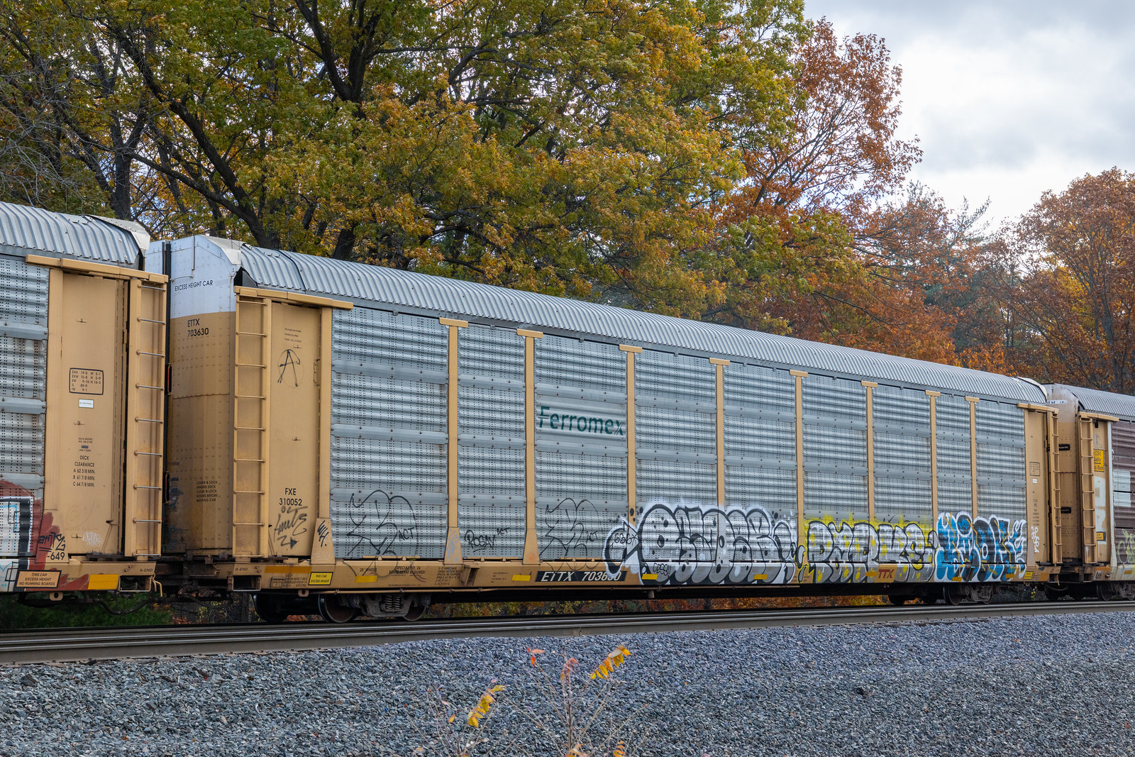 ETTX 703630