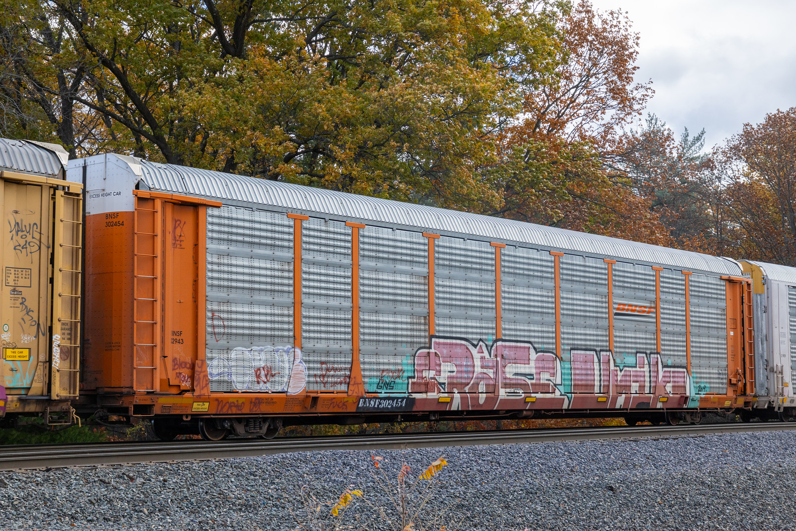 BNSF 302454