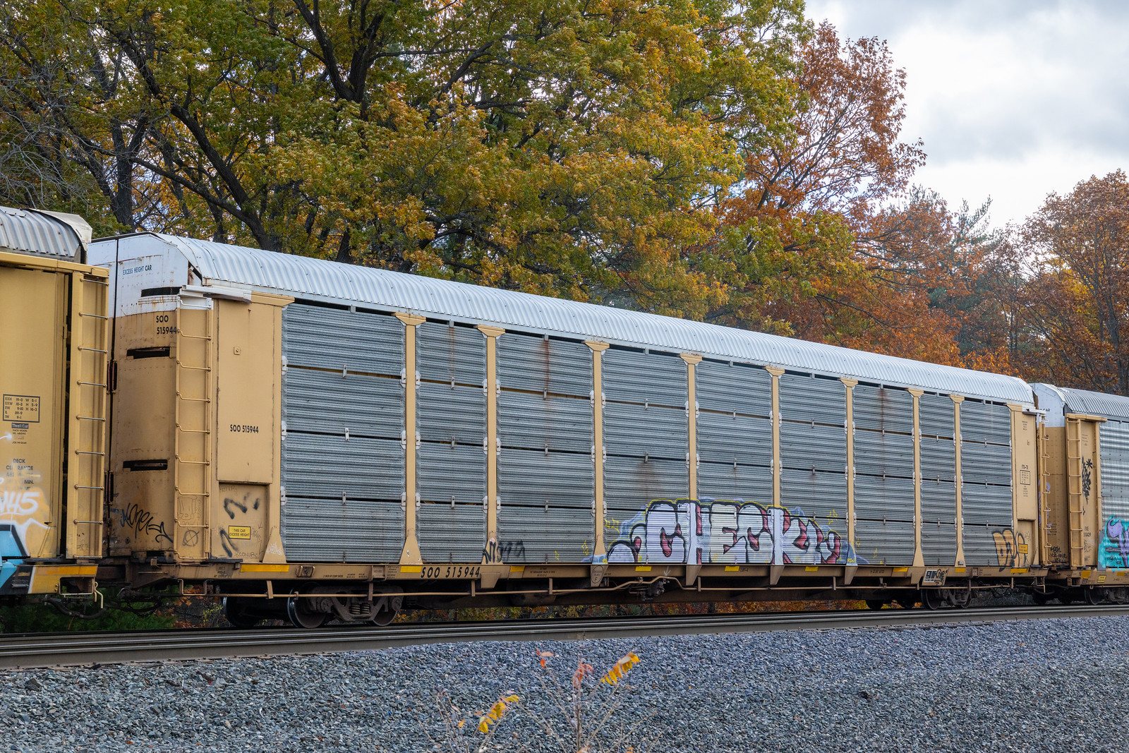 SOO 515944