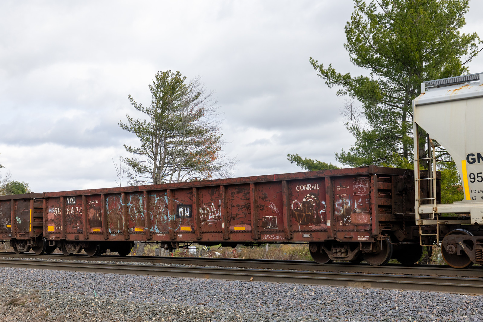 NYC 568426