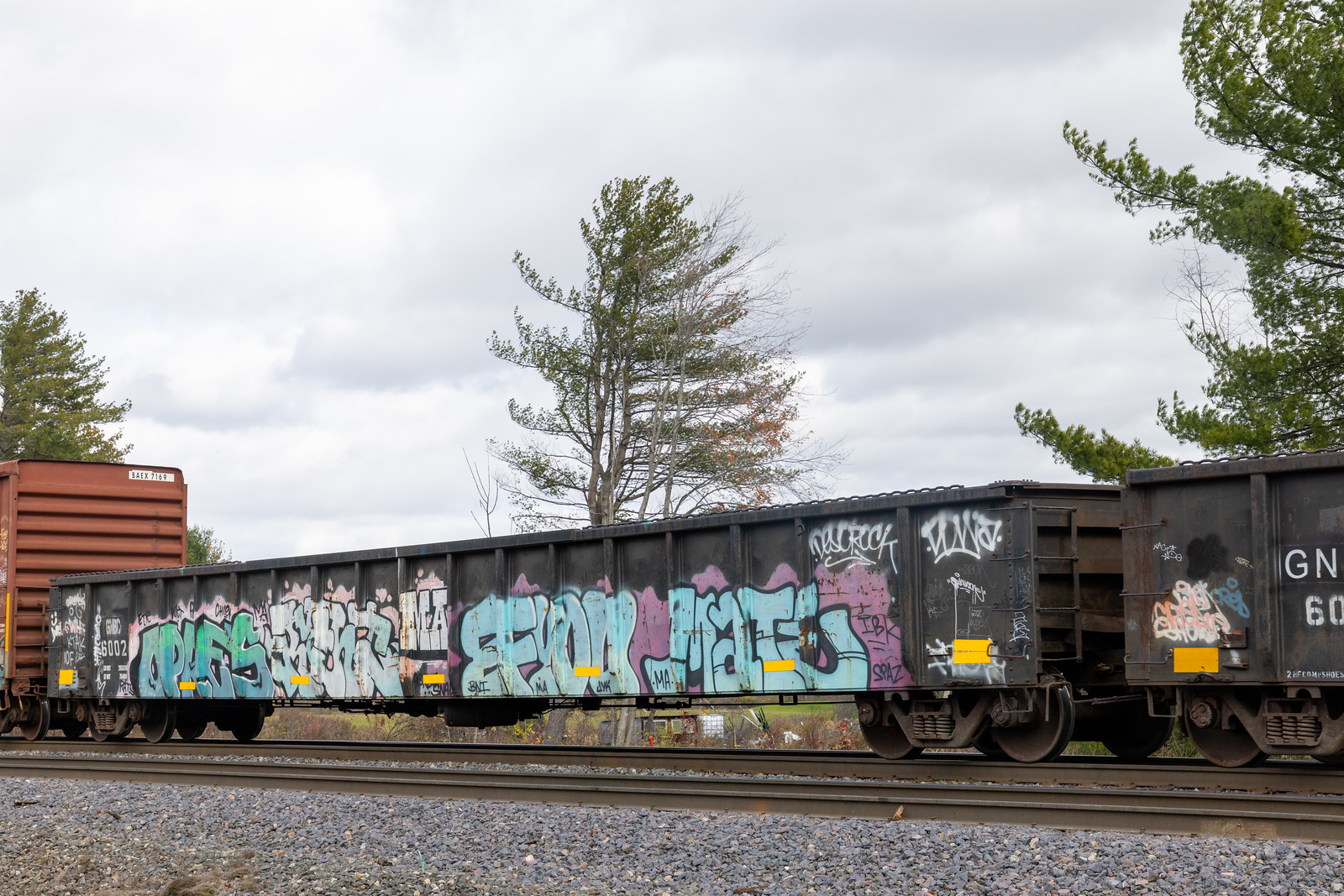 GNBC 6002