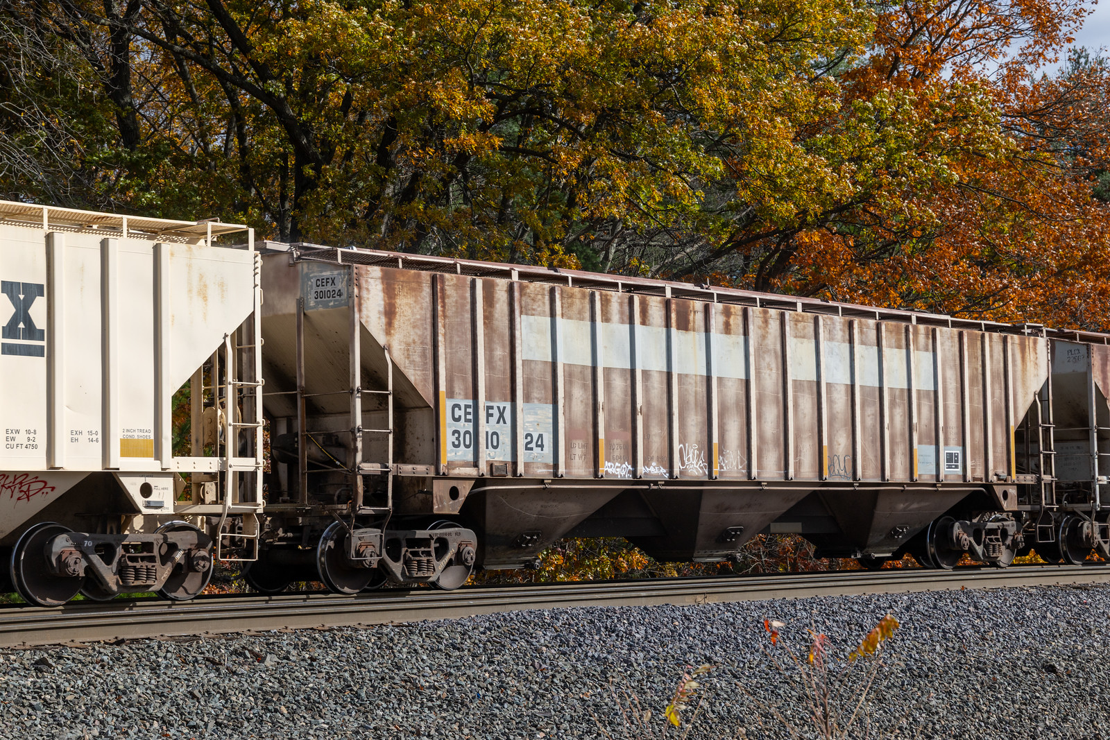 CEFX 301024