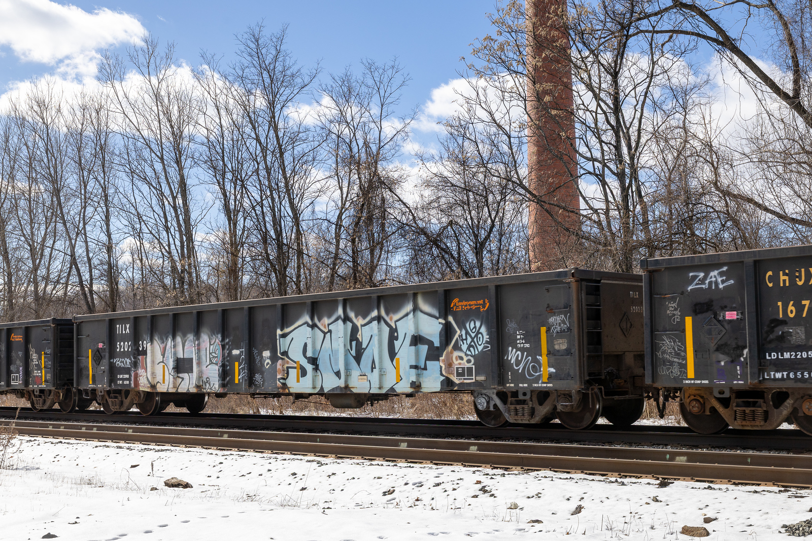 TILX 520239