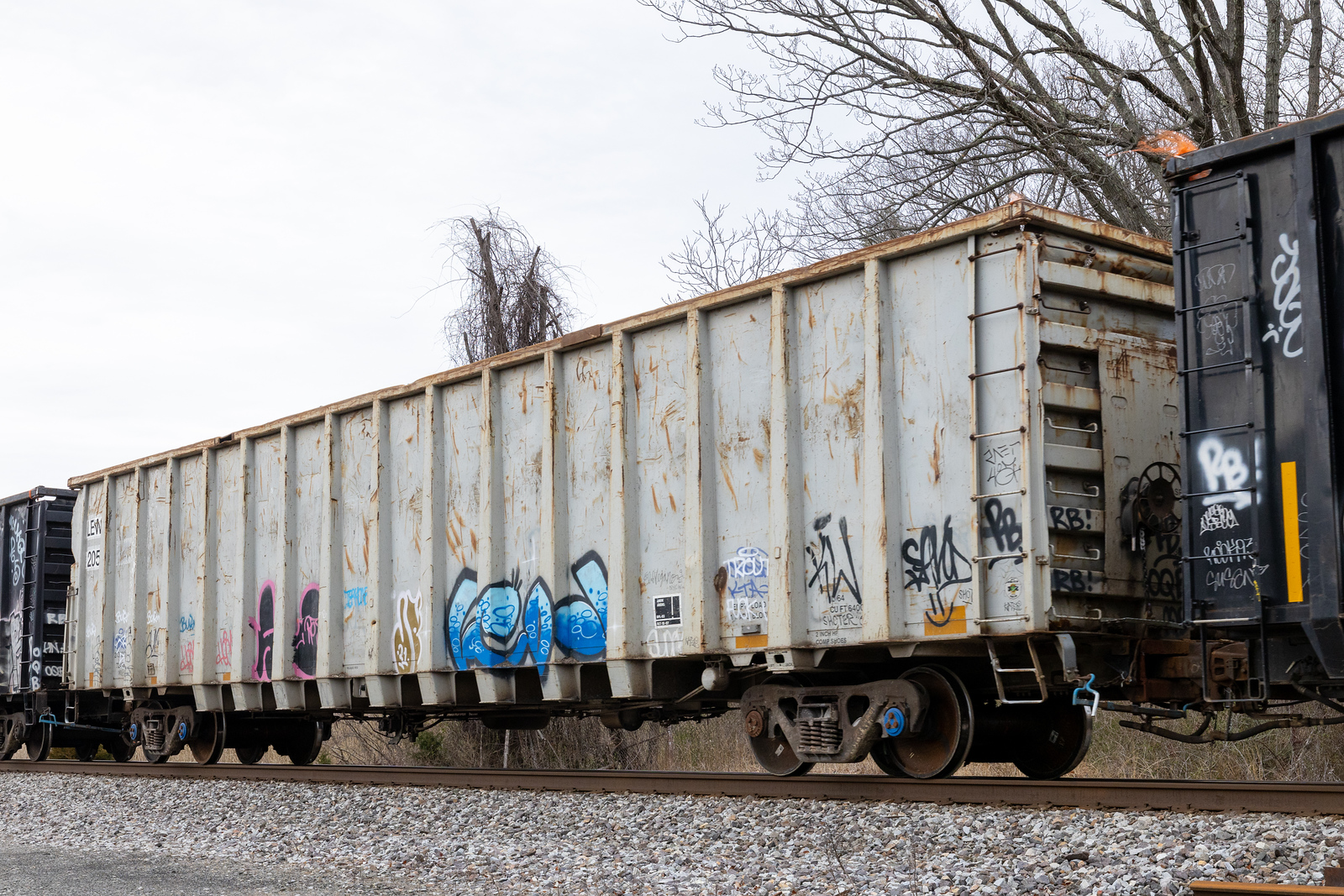 LEWX 205x