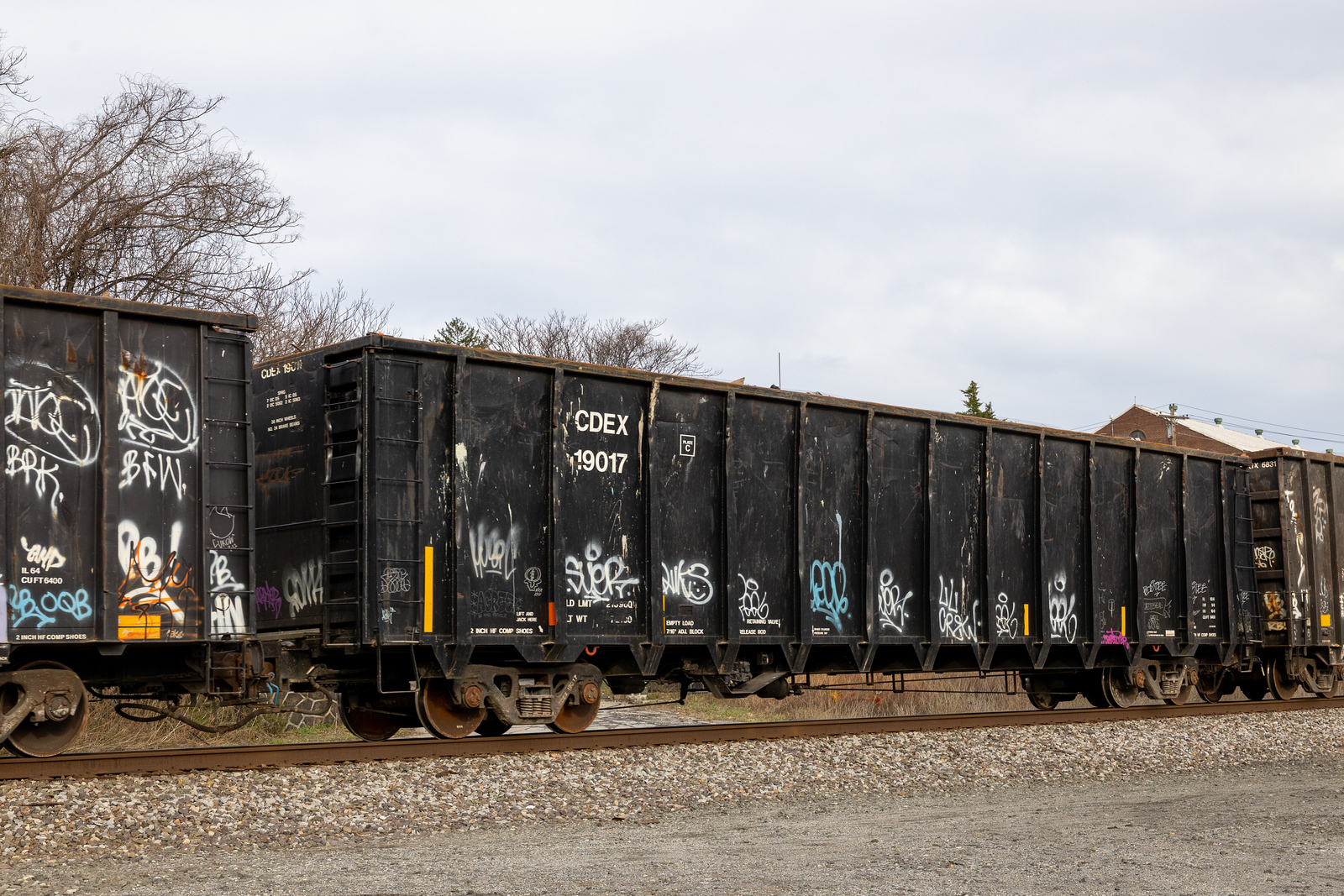 CDEX 19017