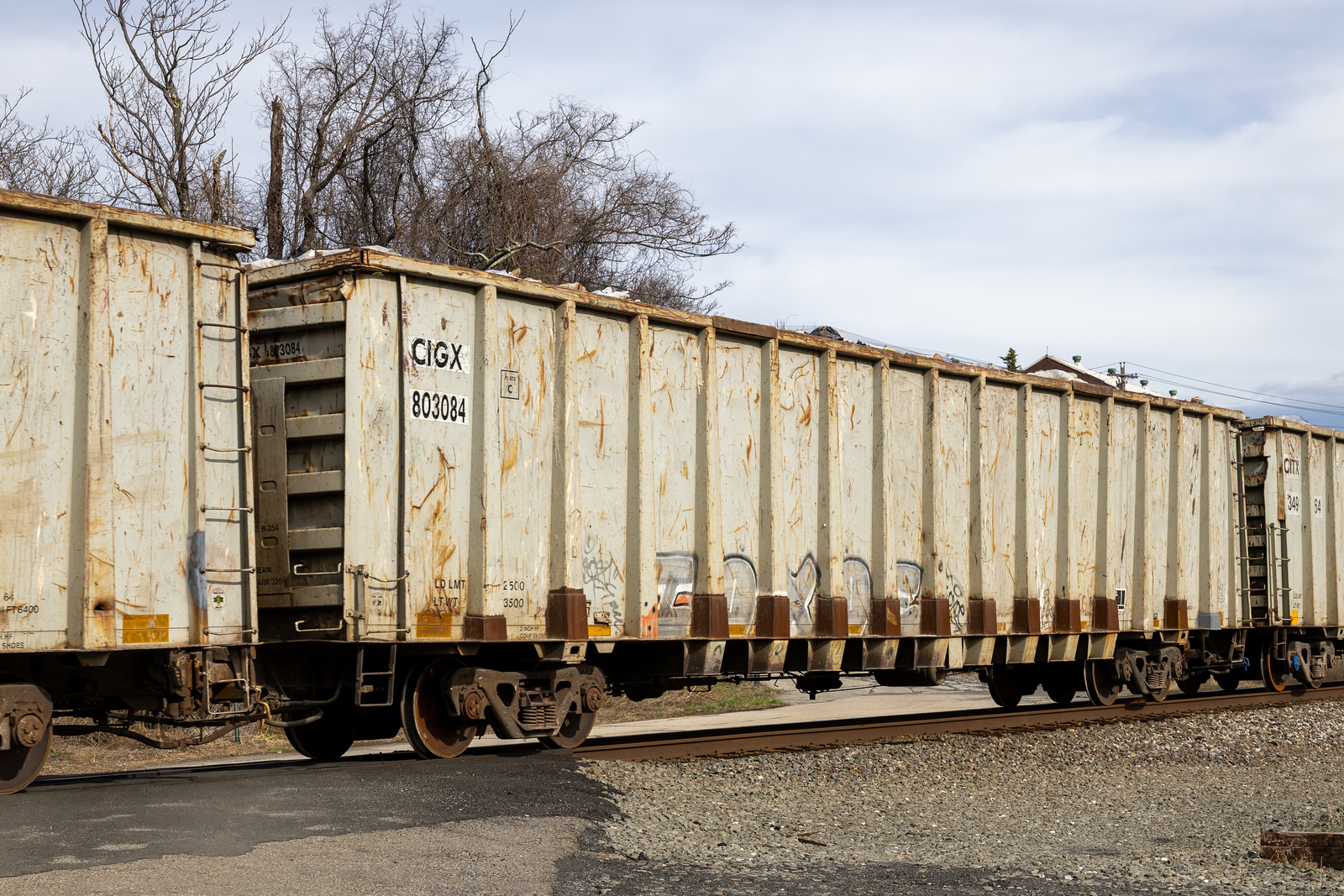 CIGX 803084
