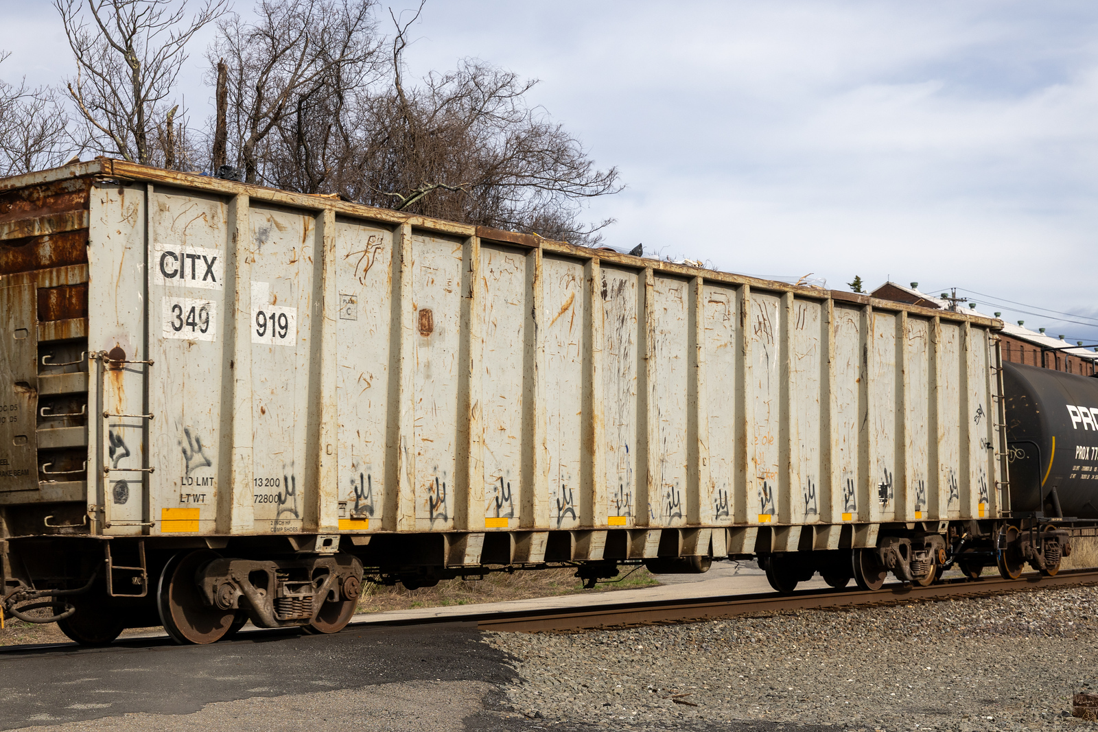 CITX 349919