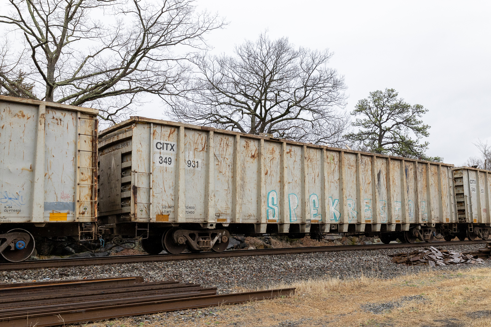 CITX 349931