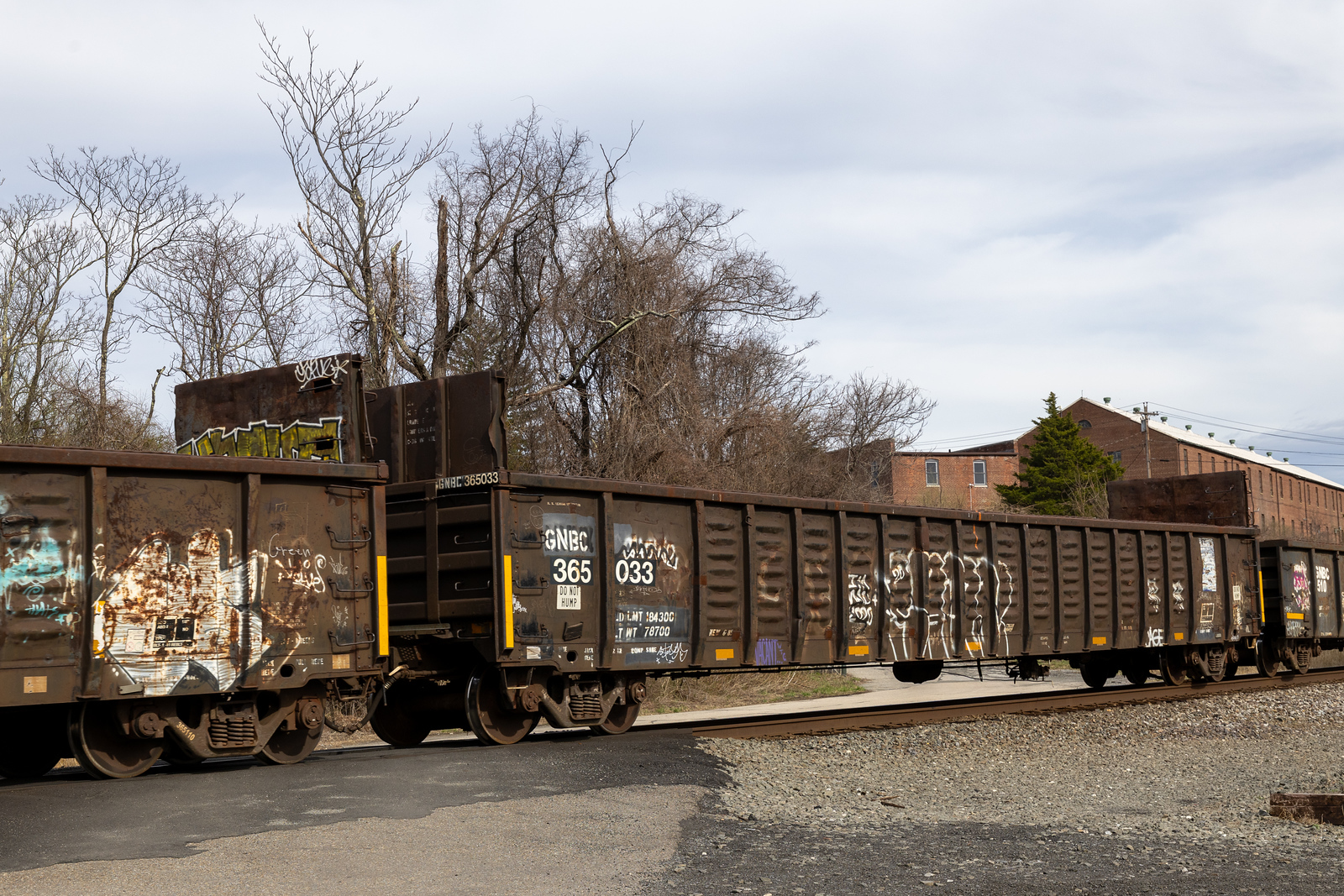 GNBC 365033