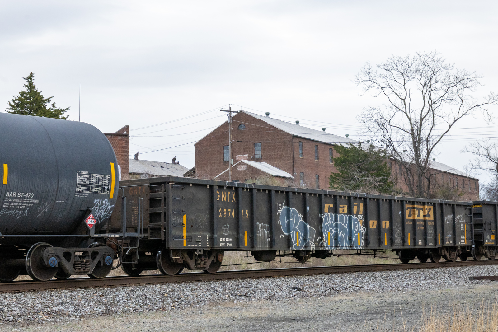 GNTX 297415