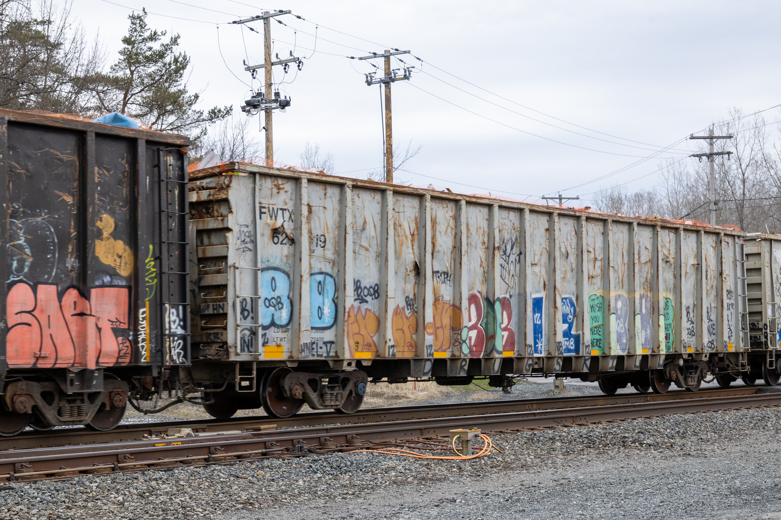 FWTX 620019