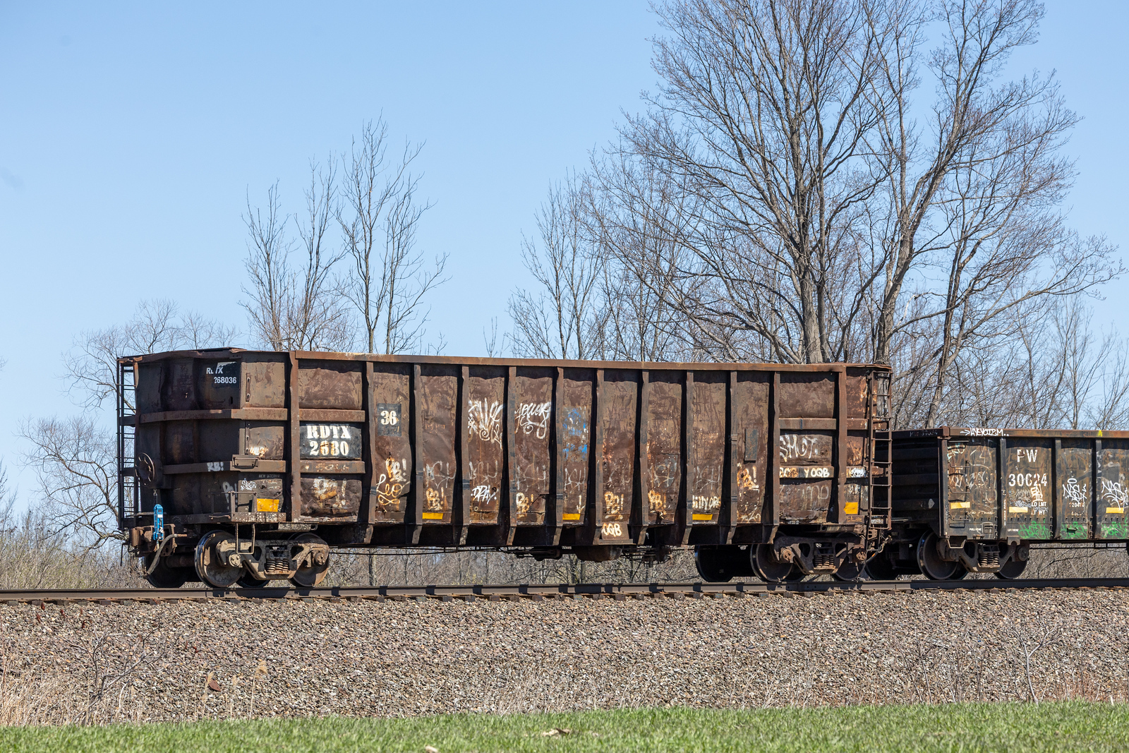 RDTX 268036