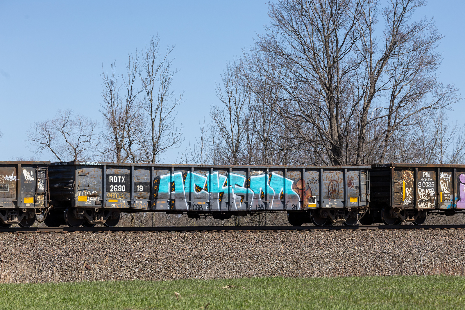 RDTX 268019