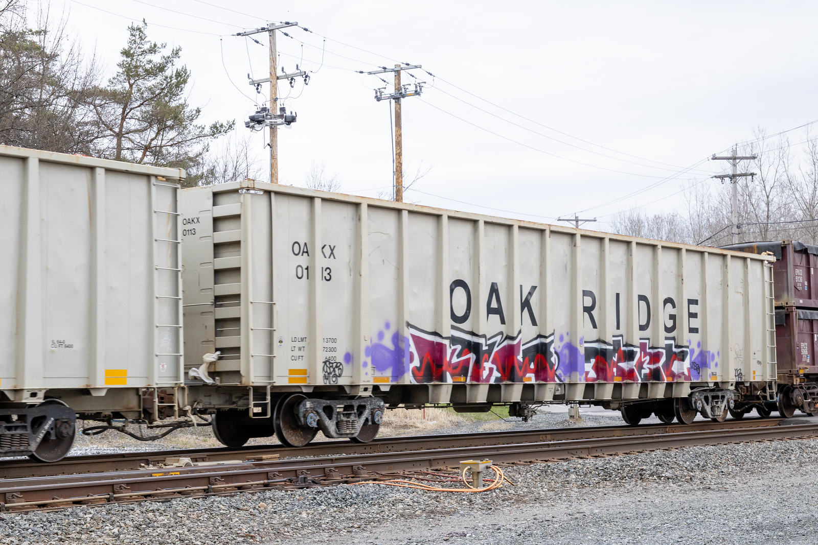 OAKX 0113