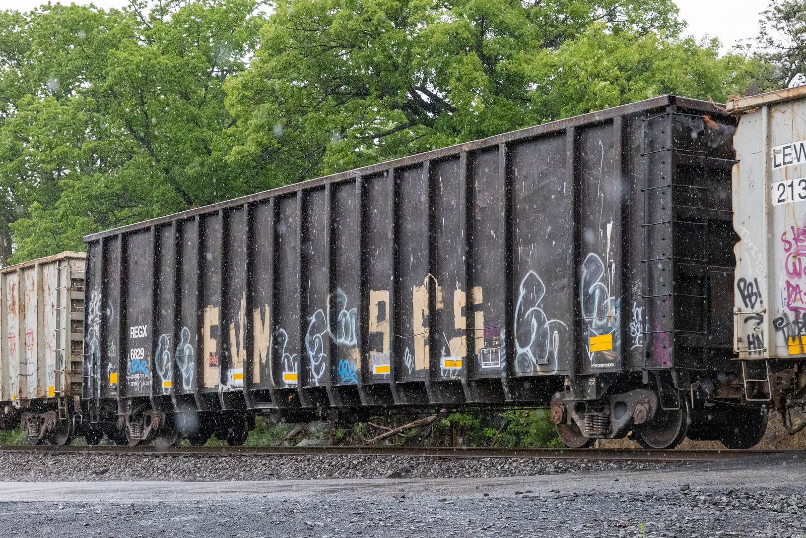REGX 6829