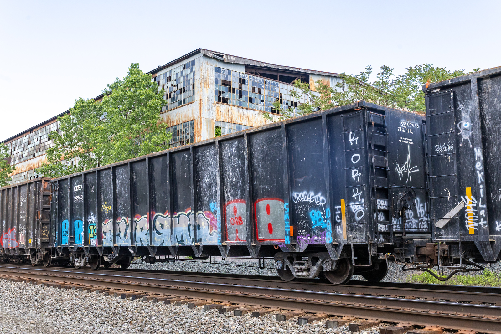 CDEX 19242