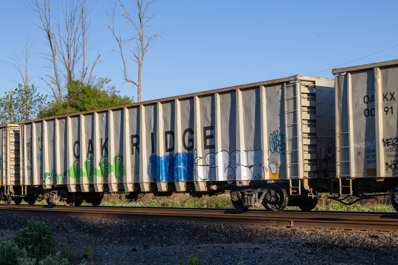OAKX 0058