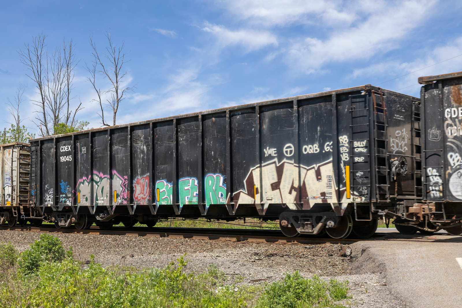 CDEX 19045