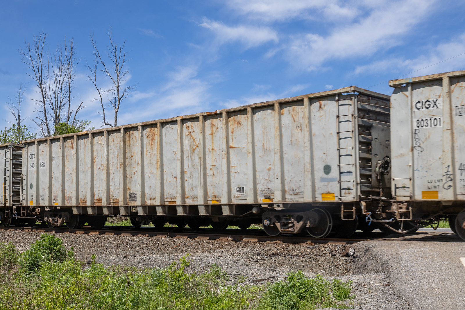 CITX 349858