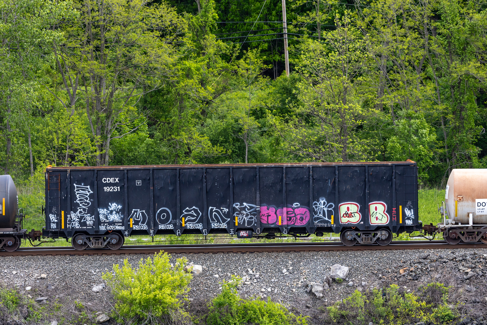 CDEX 19231