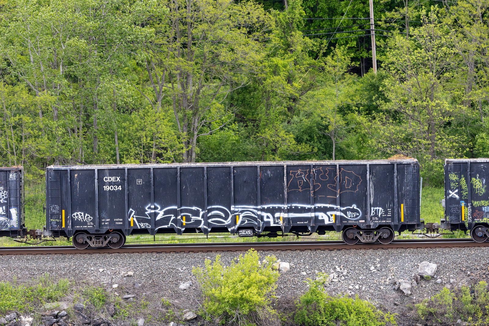 CDEX 19034