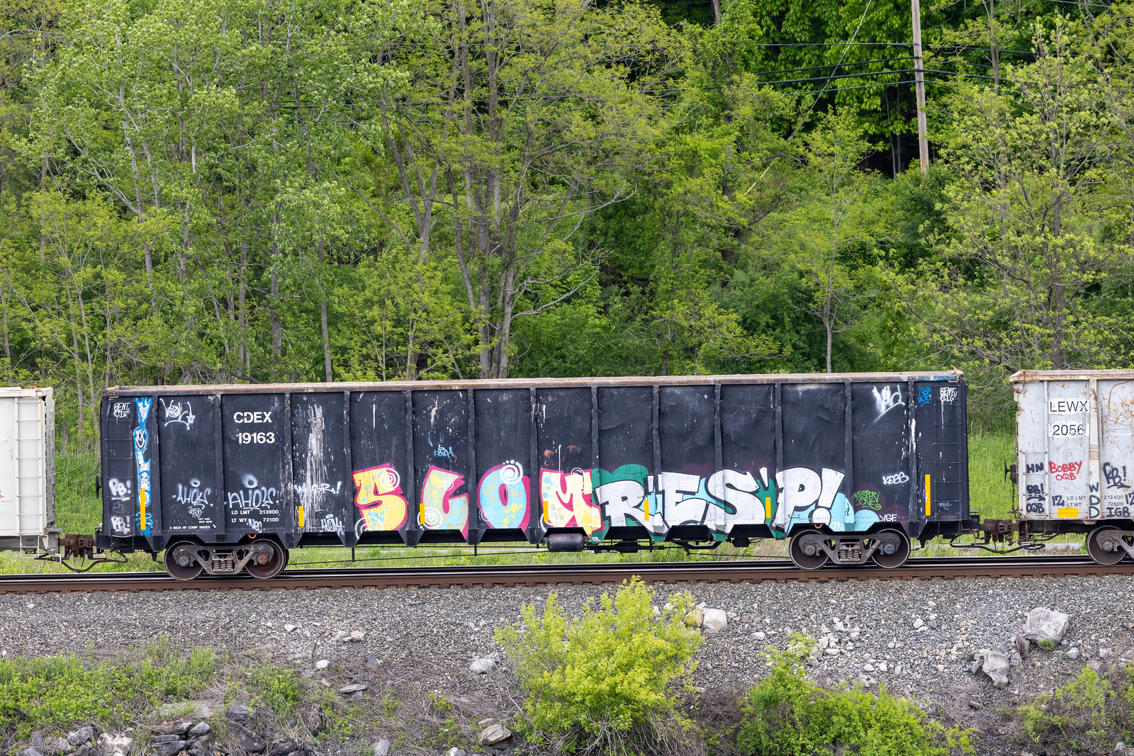 CDEX 19163