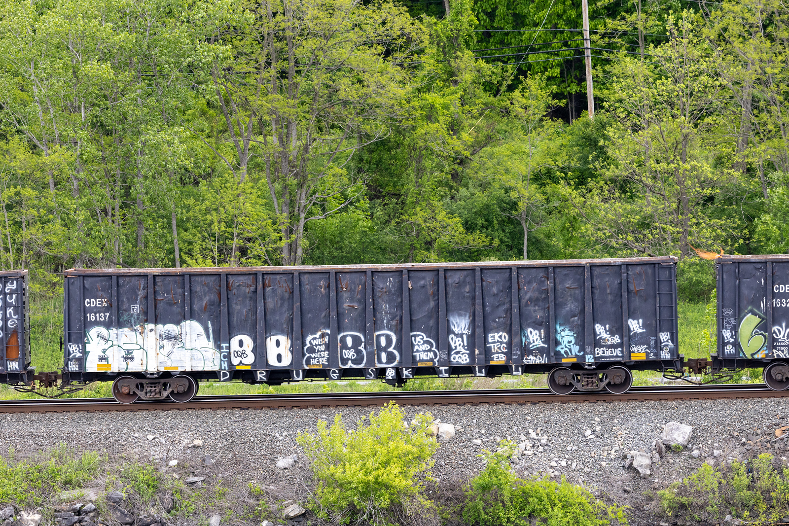 CDEX 16137