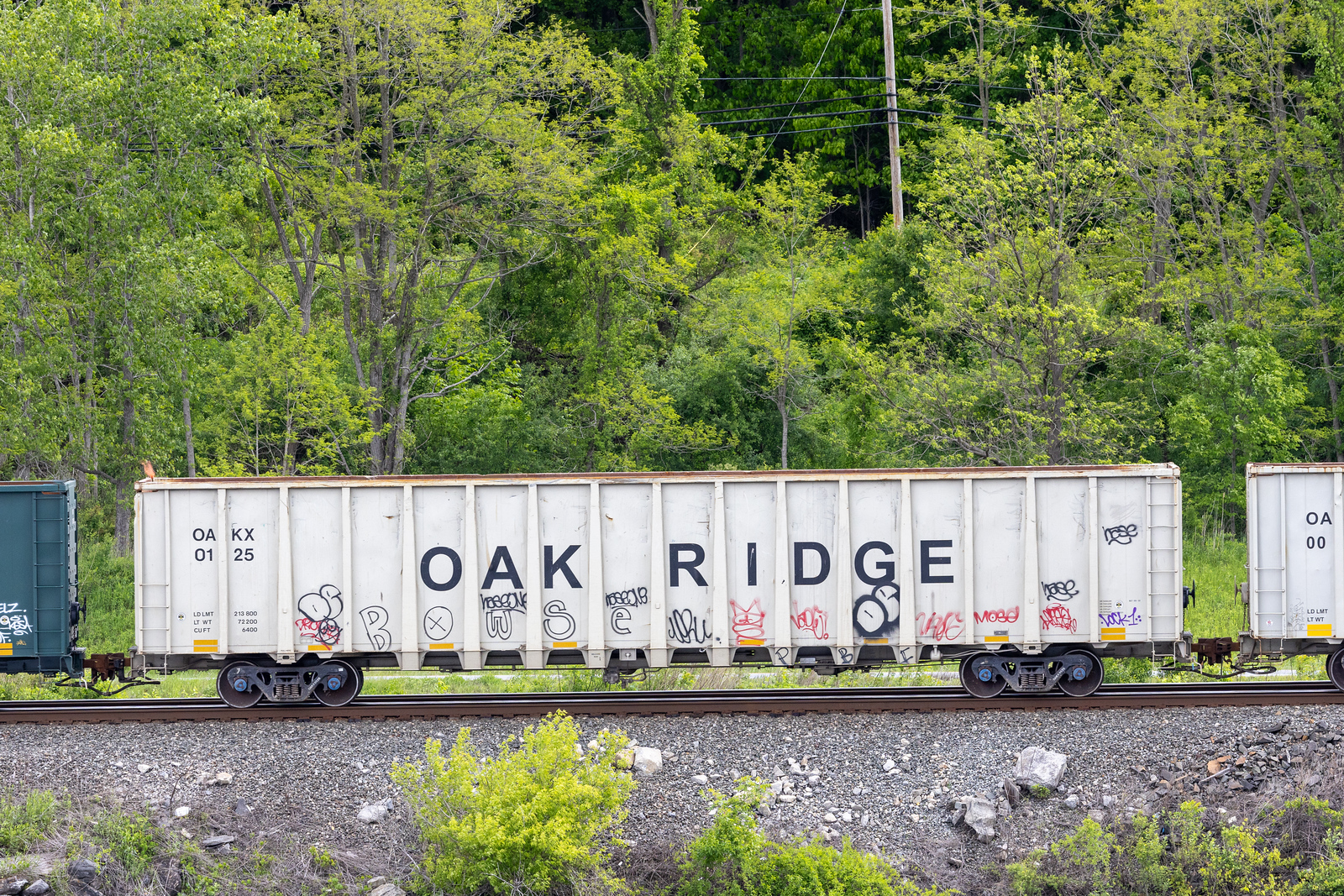 OAKX 0125