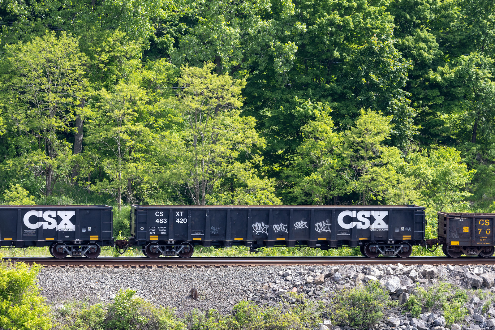 CSXT 483420