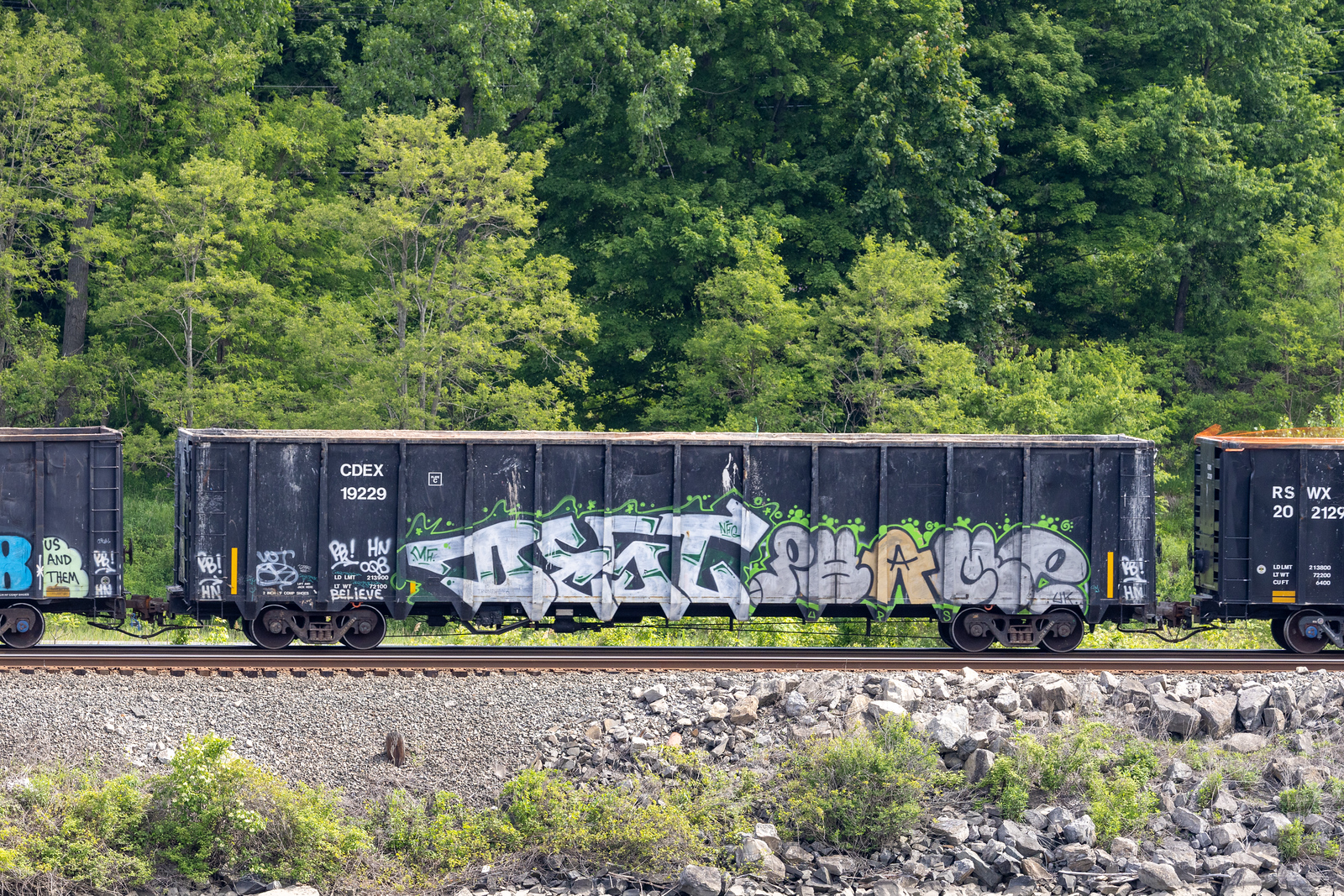 CDEX 19229