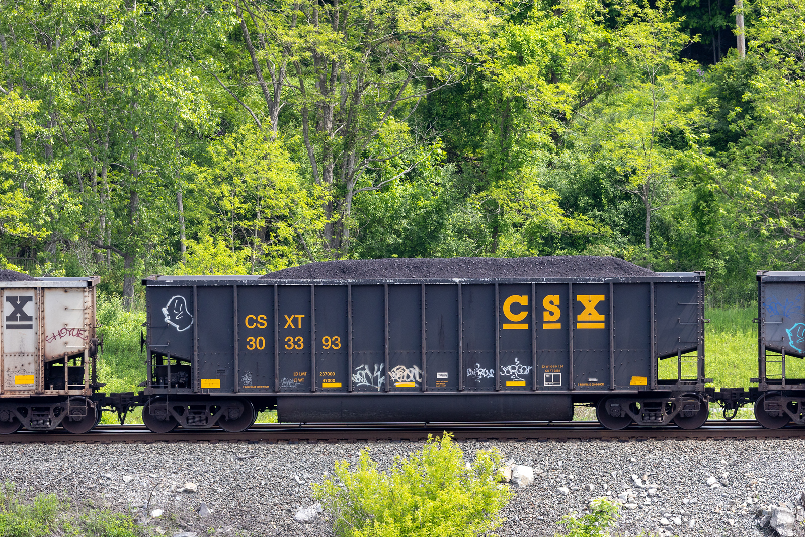 CSXT 303393