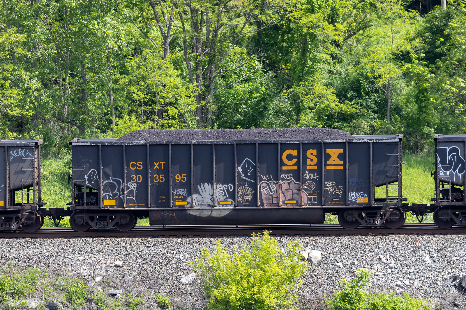 CSXT 303595