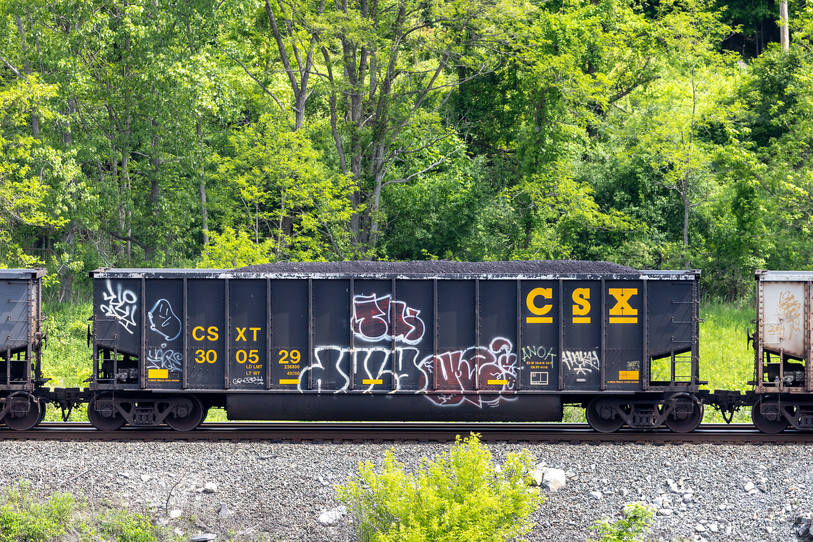 CSXT 300529
