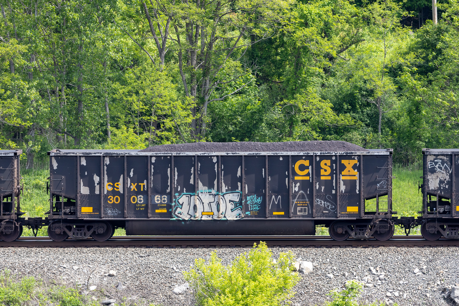 CSXT 300868