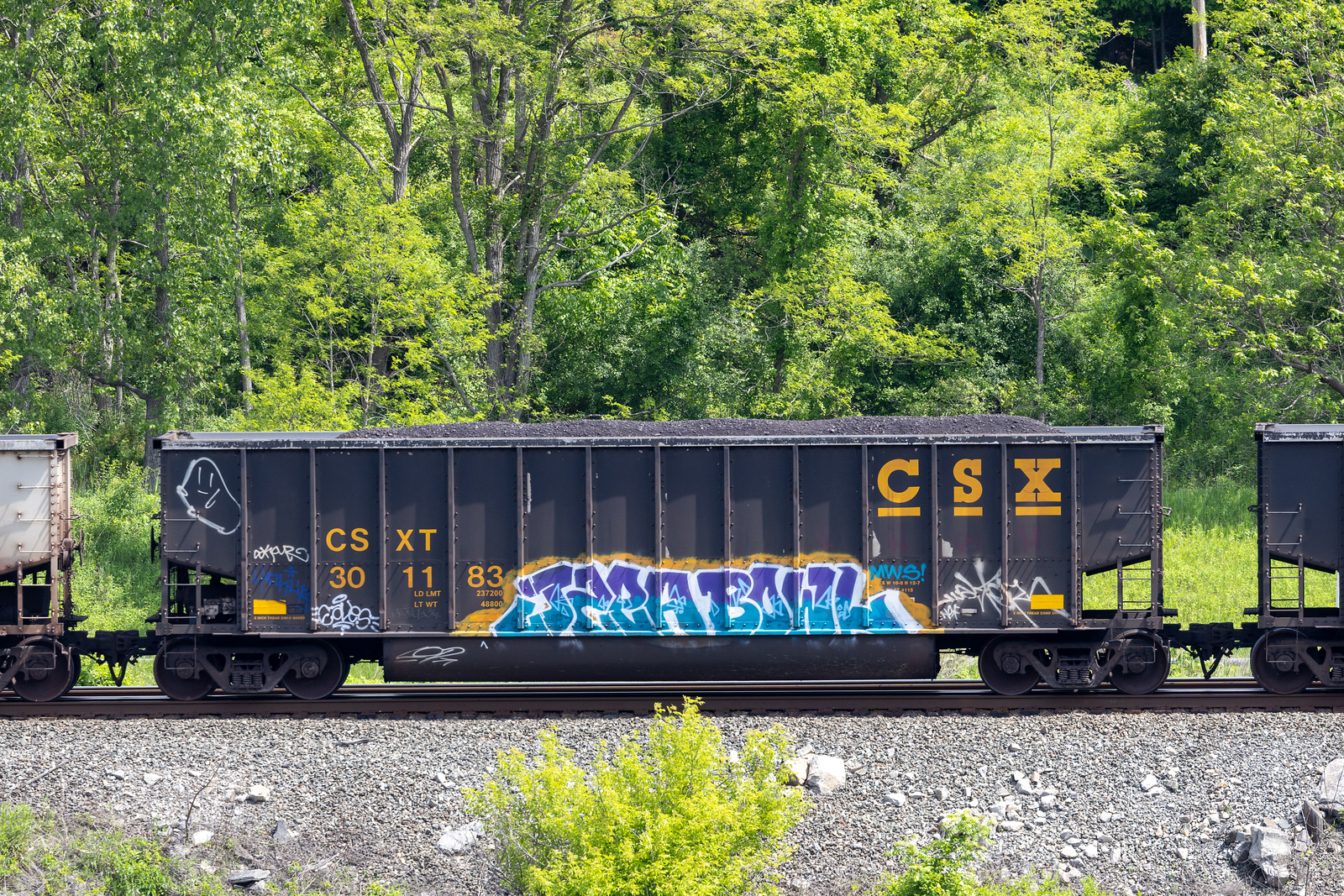 CSXT 301183