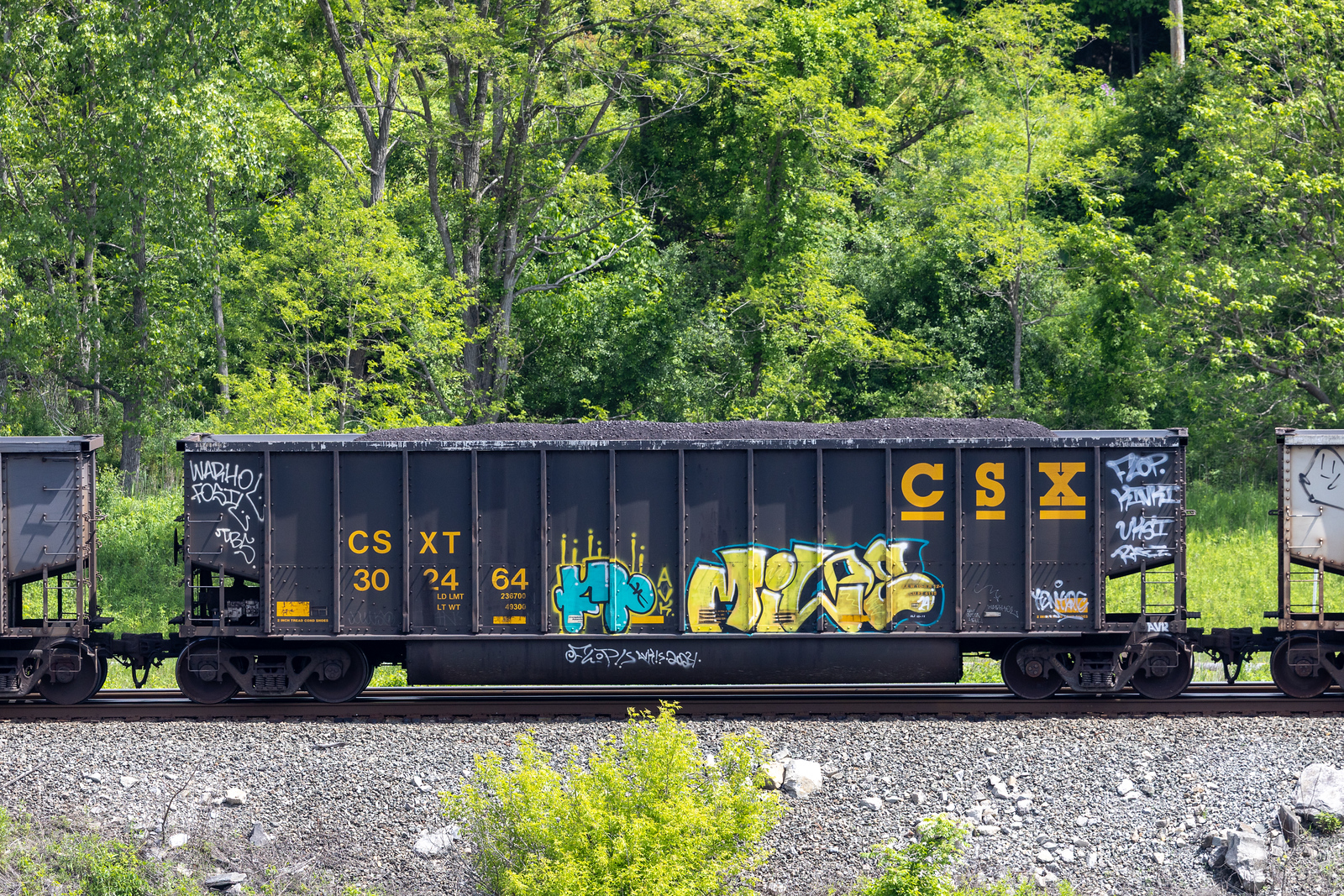 CSXT 302464
