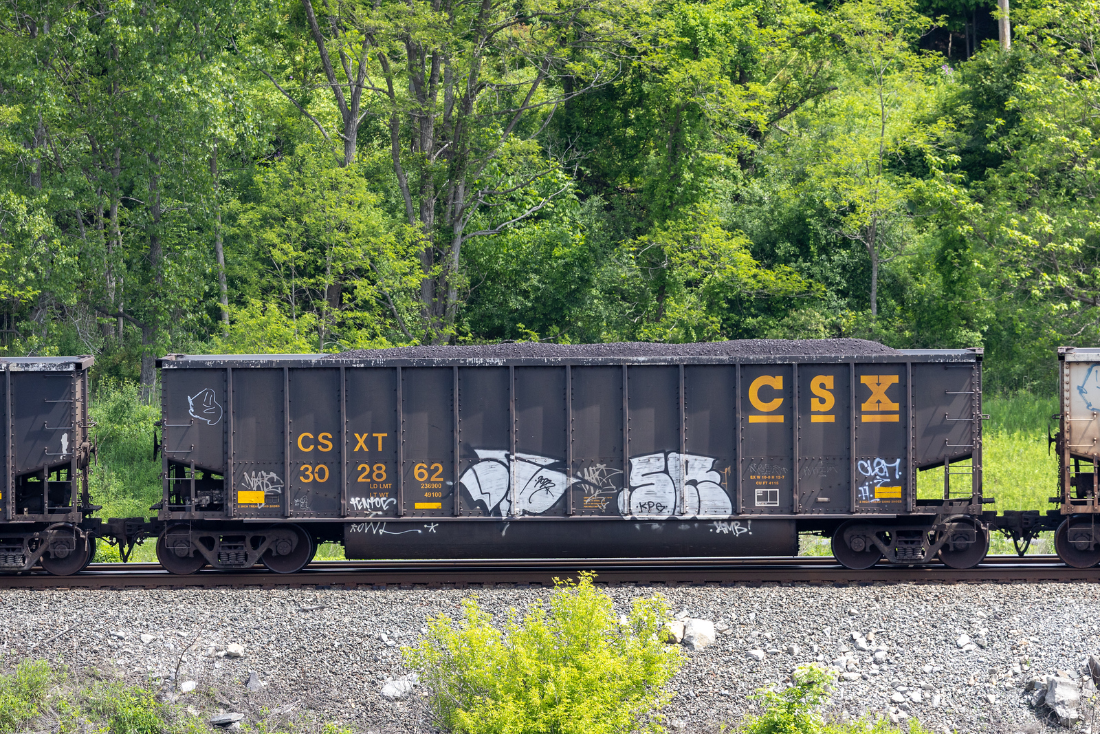 CSXT 302862