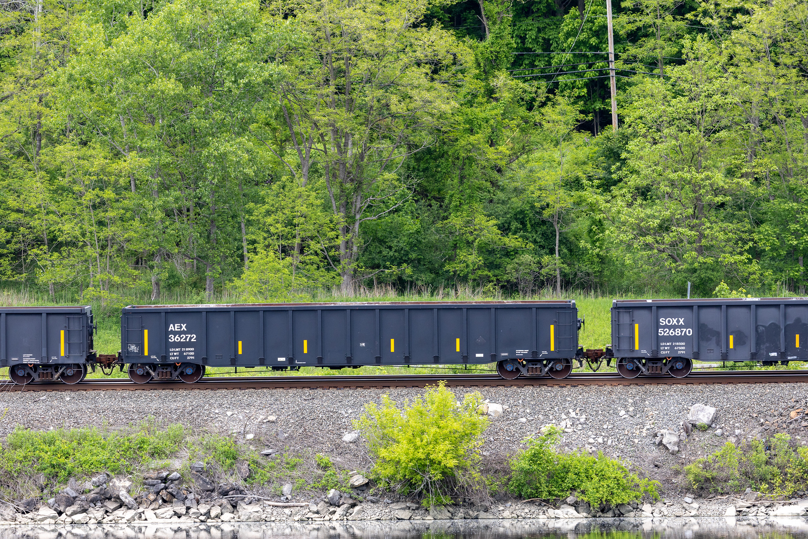 AEX 36272