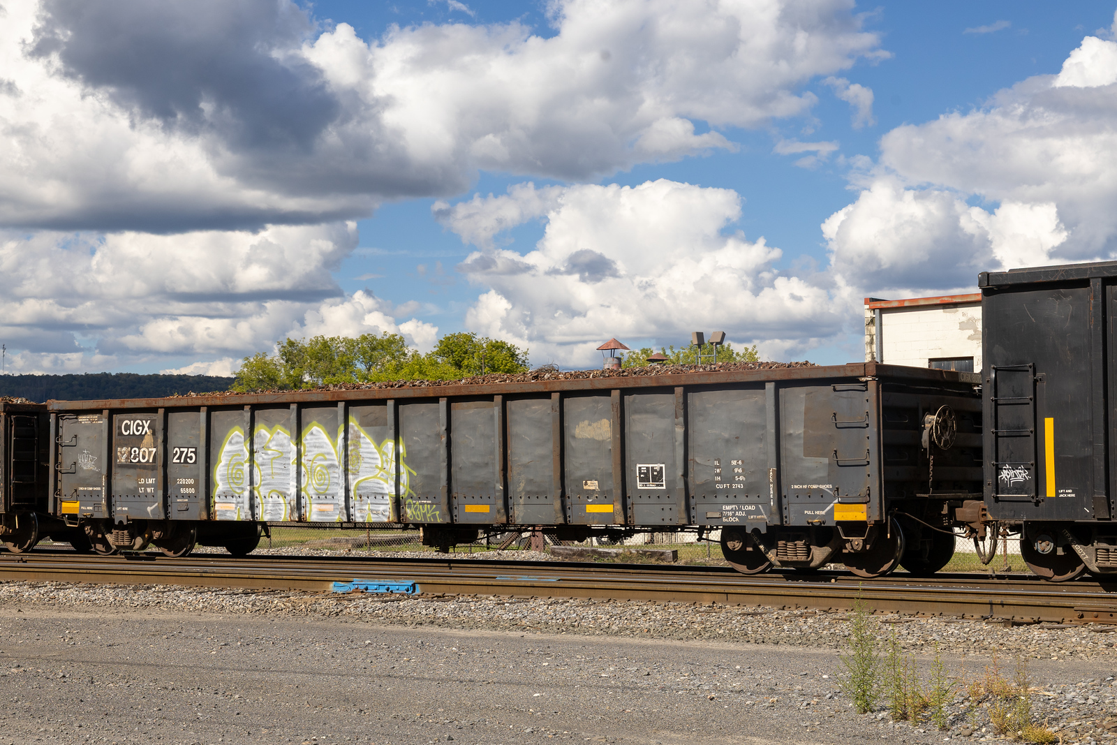 CIGX 807275