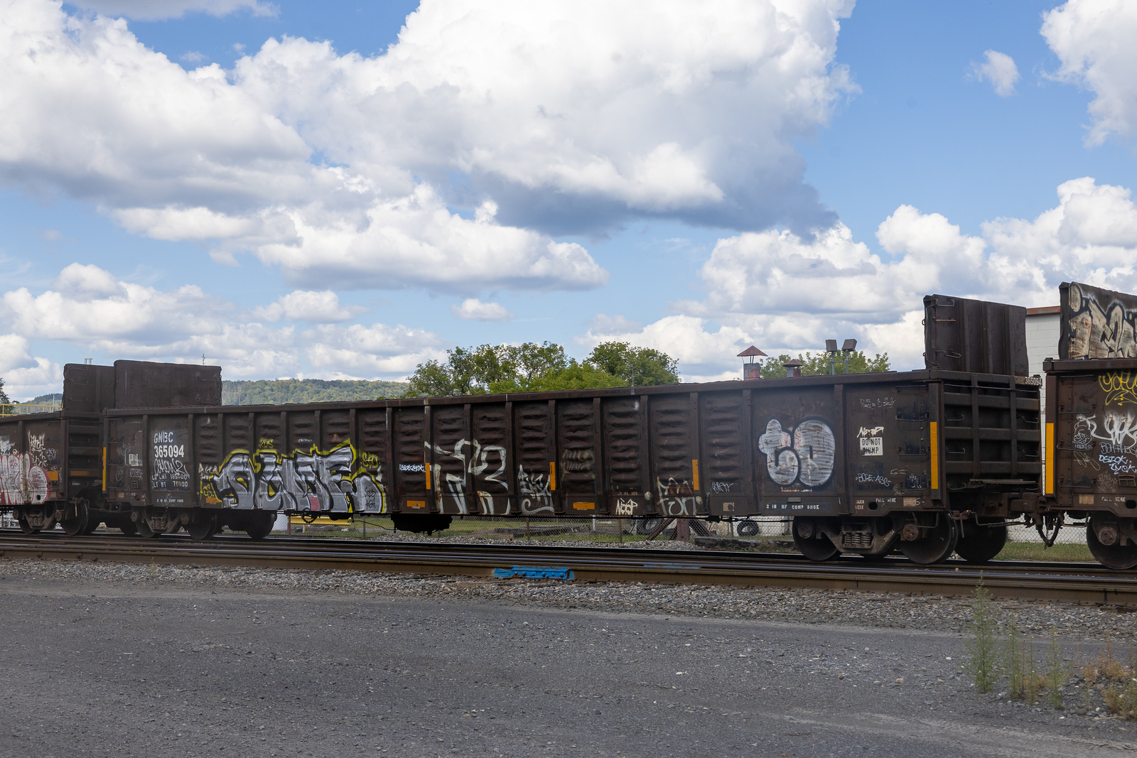 GNBC 365094