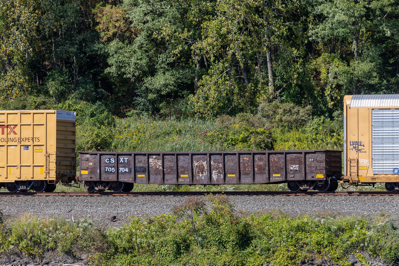 CSXT 705704