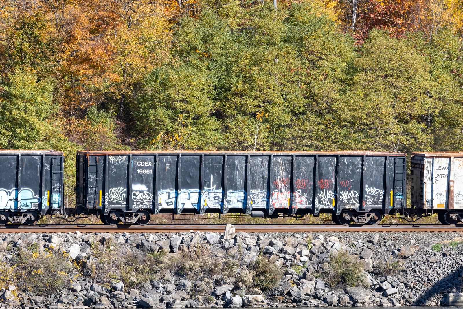 CDEX 19061