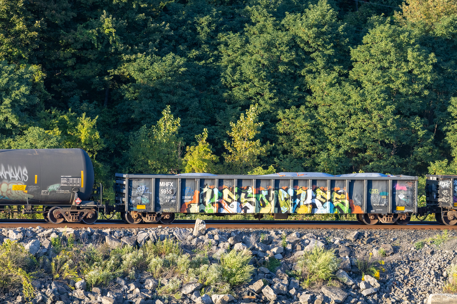 MHFX 5955